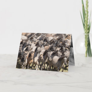 Cartão Wild Run - Wild Horse Greeting Card