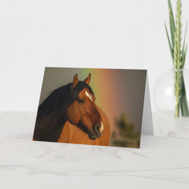 Cartão Wild Stallion, Golden Light and Rainbow (Frente)