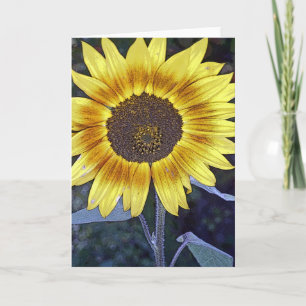Cartão Wild Sunflower