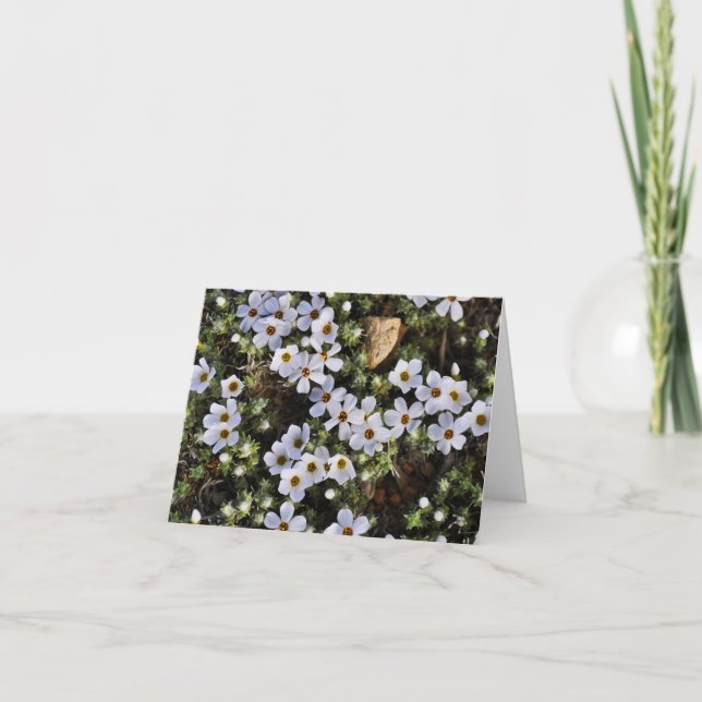 Cartão Wildflower branco Notecard (Frente)