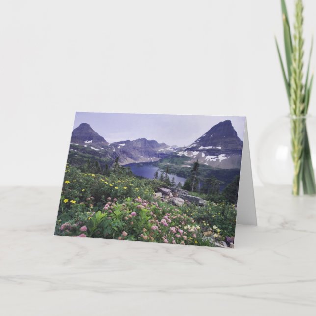 Cartão Wildflower e Hidden Lake, Shruby (Frente)