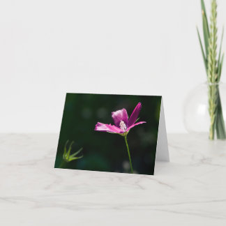 Cartão Wildflower magenta Notecard