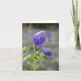 Cartão Wildflower Note Card