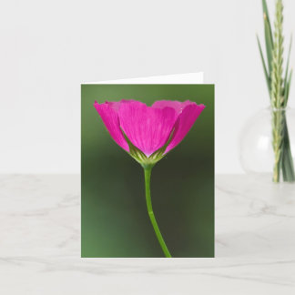 Cartão Wildflower Notecards de Winecup