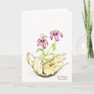 Cartão Wildflower watercolor geranium blank inside