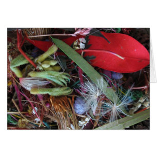Cartão Wildflowers australianos
