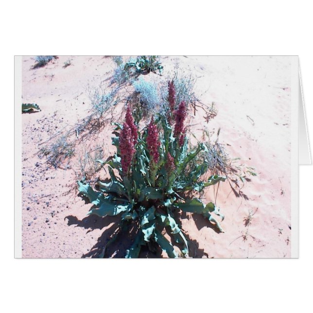 Cartão Wildflowers roxos (Frente Horizontal)