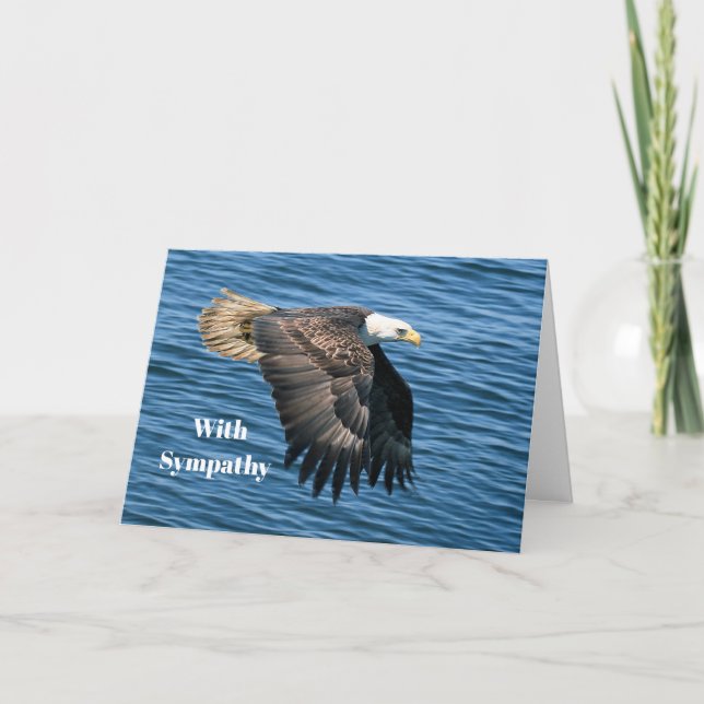 Cartão Wildlife Bald Eagle Photo Sympathy (Frente)