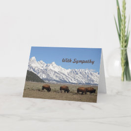 Cartão Wildlife Bison Montanhas Snow Foto Simpatia