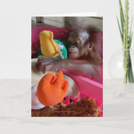 Cartão Wildlife Blank Cards:Baby Orangutan Grabs Toys 