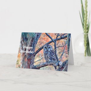 Cartão Wildlife Brown Owl Tree Birthday