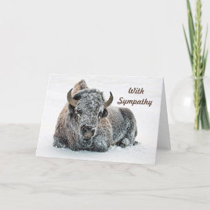 Cartão Wildlife Buffalo Snow Photo Sympathy