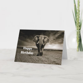 Cartão Wildlife Bull Elephant Photo Birthday