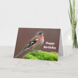 Cartão Wildlife Chaffinch Foto Birthday