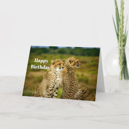 Cartão Wildlife Cheetah Photo Birthday