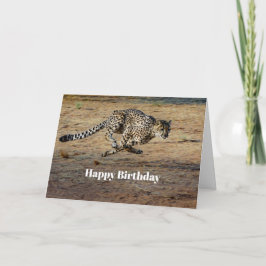 Cartão Wildlife Cheetah Running Photo Birthday