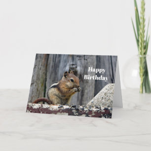 Cartão Wildlife Chipmunk Animal Photo Birthday
