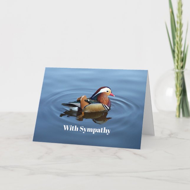Cartão Wildlife Colorful Duck Blue Water Photo Sympathey (Frente)
