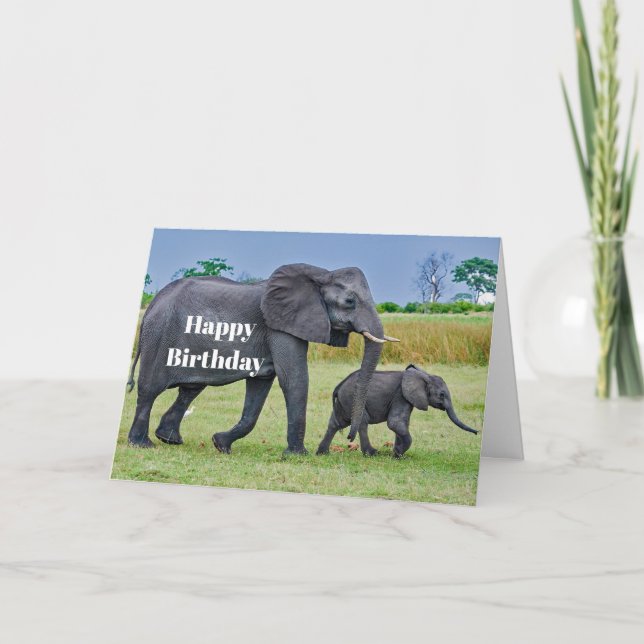 Cartão Wildlife Elephant Calf Photo Birthday (Frente)