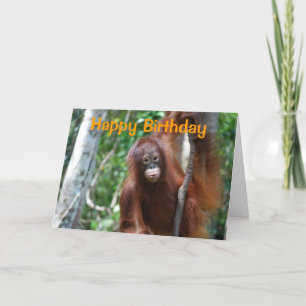Cartão Wildlife Happy Birthday