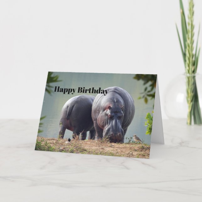 Cartão Wildlife Hippo Photo Birthday (Frente)