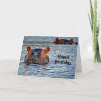 Wildlife Hippo Water Photo Birthday