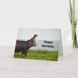 Cartão Wildlife Hippopotamus Foto Birthday