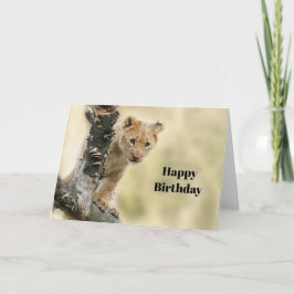Cartão Wildlife Lion Cub Foto Birthday
