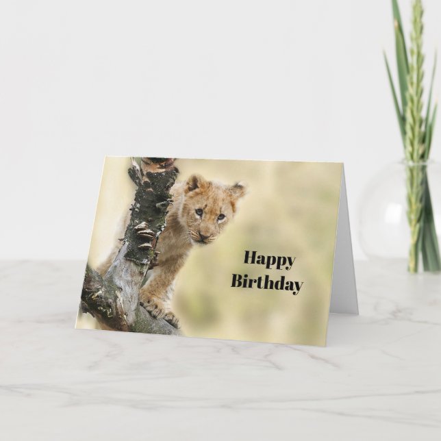Cartão Wildlife Lion Cub Foto Birthday (Frente)