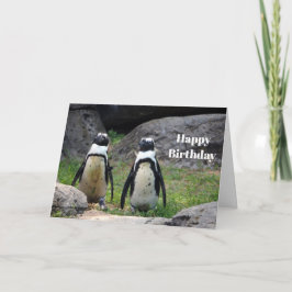 Cartão Wildlife Penguin Pair Photo Birthday