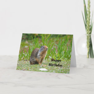 Cartão Wildlife Prairie Dog Foto Birthday
