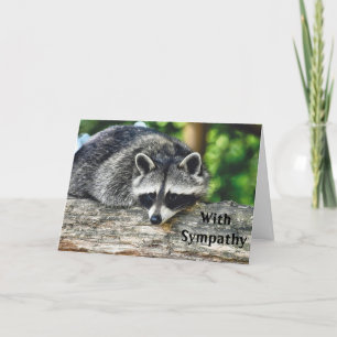 Cartão Wildlife Raccoon Log Mammal Photo Sympathy