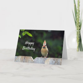 Cartão Wildlife Red Cardinale Fence Birthday