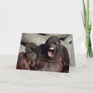 Cartão Wildlife Set - Primates 1