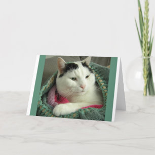 Cartão WiLSON - Body Sock Greeting Card