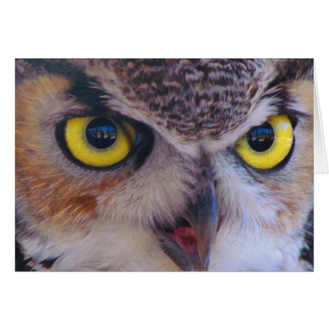 Cartão Wilson Card (Frente horizontal)