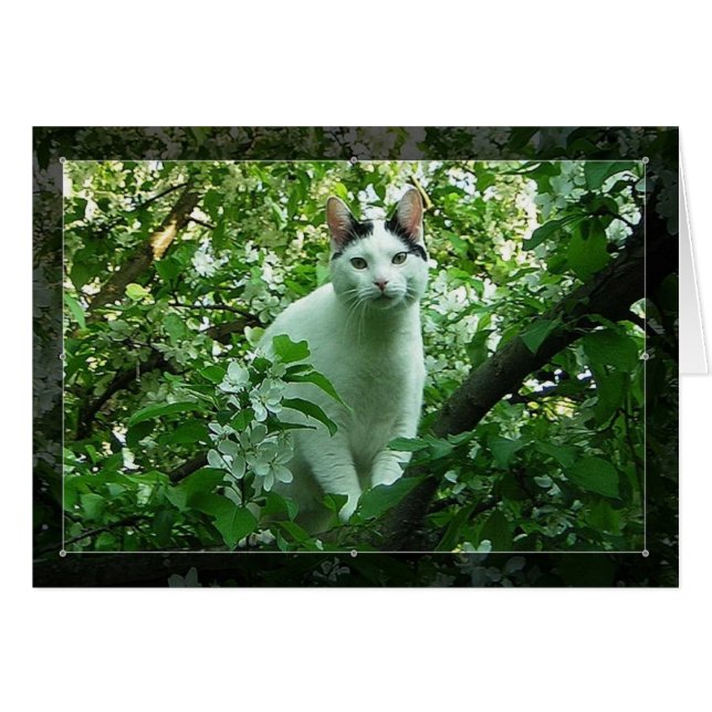 Cartão WiLSoN GReeN (Frente Horizontal)