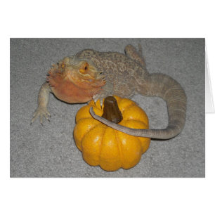 Cartão Wilson, o Dragão Carborado