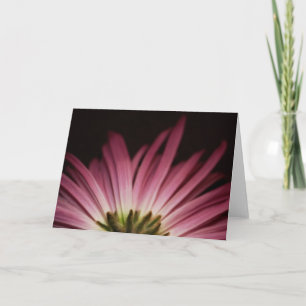 Cartão Wilted Purple Daisy
