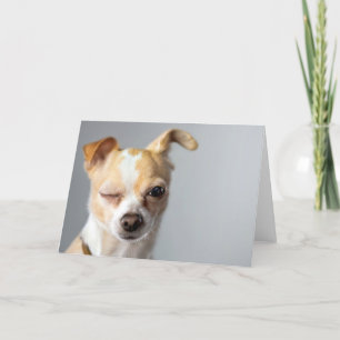 Cartão Winking Chihuahua Greeting Card