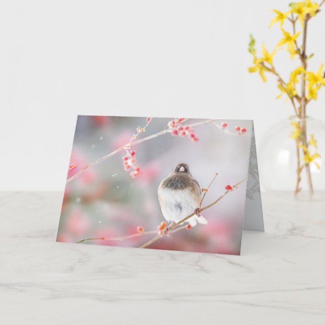 Cartão "Winter Berry Junco", 5" x 7" Folheto de saudação (Flor Amarela)