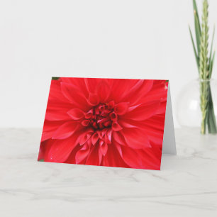 Cartão Winter Sun Greeting Card