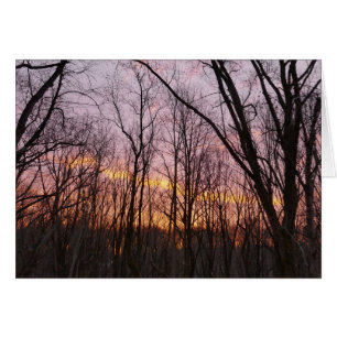 Cartão Winter Sunrise II