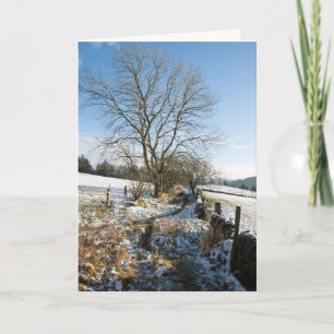 Cartão Winter The Macclesfield Forest