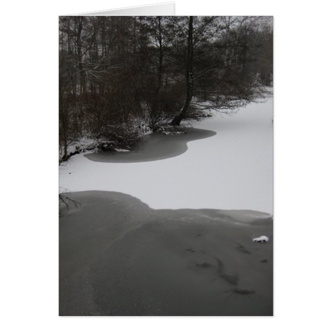 Cartão Wintry Lake (Frente)