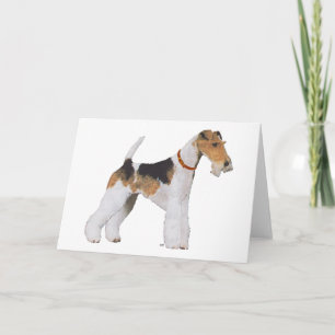 Cartão Wire Fox Terrier