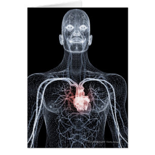 Cartão Wireframe dos vasos sanguíneos na parte superior