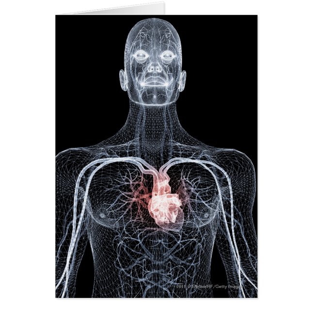 Cartão Wireframe dos vasos sanguíneos na parte superior (Frente)