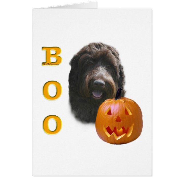 Cartão Wirehaired Pointing Griffon Boo (Frente)