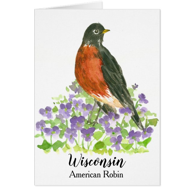 Cartão Wisconsin American Robin State Bird (Frente)